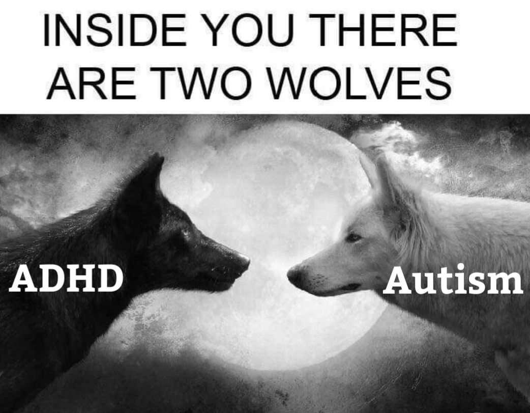 Inside you are two wolves. A black wolf and a white wolf stare at each other with the moon behind them. The black wolf is labeled ADHD, the other Autism.